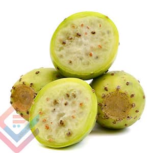 Prickly Pear White