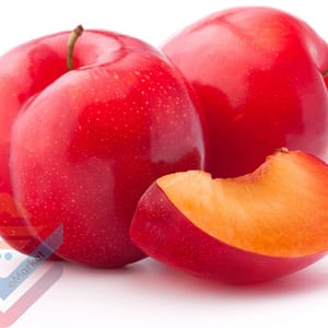 Plum Red