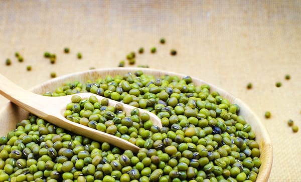 Beans Mung Green